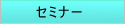 �Z�~�i�[